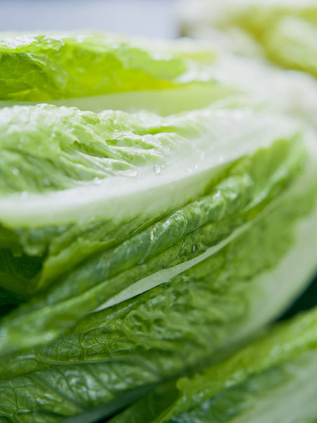 lush green romaine lettuce, close up shot - Foto, Imagem