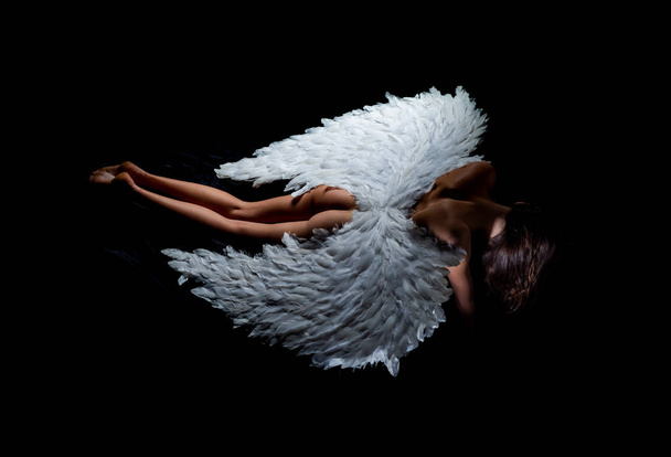 Erotic ladies fashion concept. Long white wings. Valentines Day symbol. - Foto, afbeelding