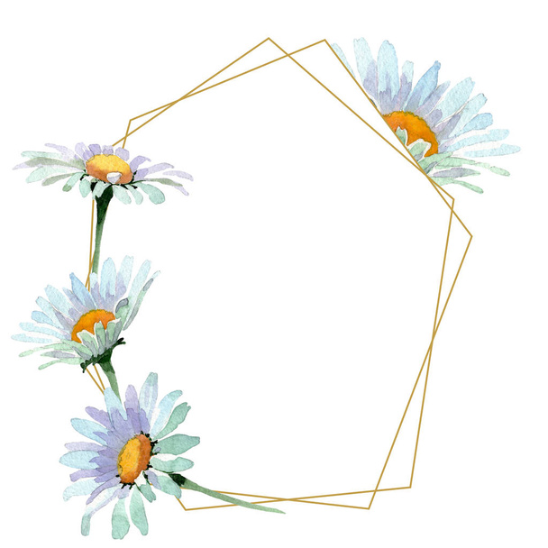 Big white chamomile floral botanical flowers. Watercolor background illustration set. Frame border ornament square. - Fotoğraf, Görsel