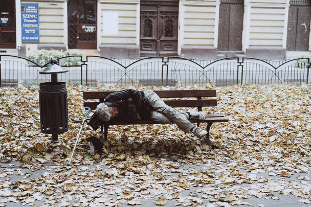 Бездомні сплять на лавках в осінньому парку
 - Фото, зображення