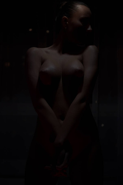 Jeune femme nue sensuelle posant dans la chambre noire
 - Photo, image