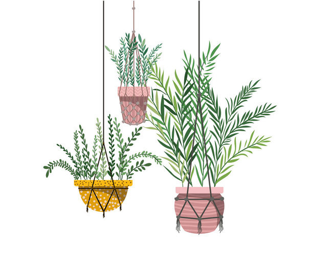 houseplants on macrame hangers icon - Vector, Image