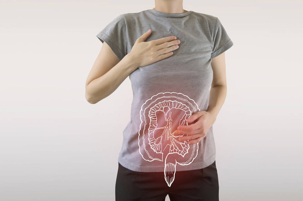Digital composite of highlighted redinjured or infected intestine - Foto, Bild