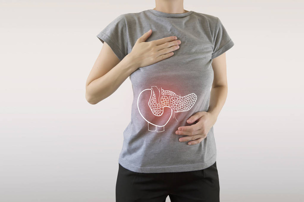 Digital composite of highlighted red pancreas of woman - Фото, зображення