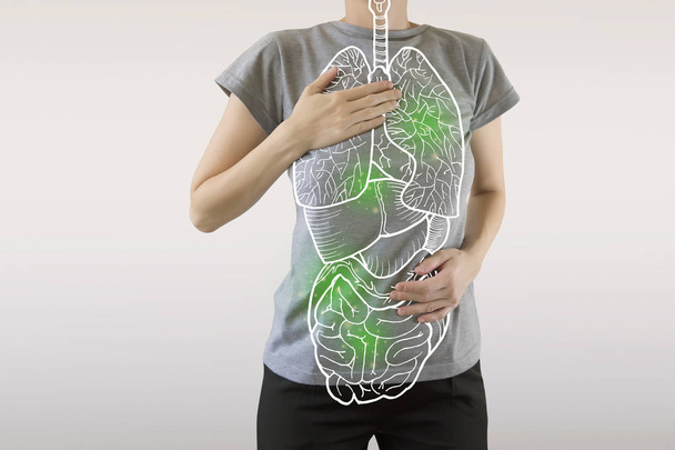 highlighted green internal organs / virus infection and medicine - Foto, Imagen