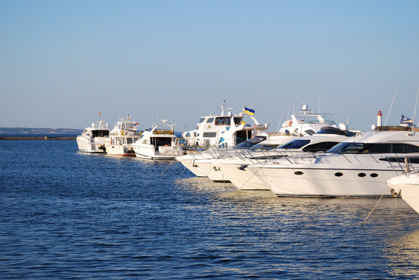 White yachts and motor boats - Photo, Image