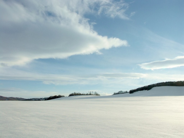 Winterlandschap - Foto, afbeelding