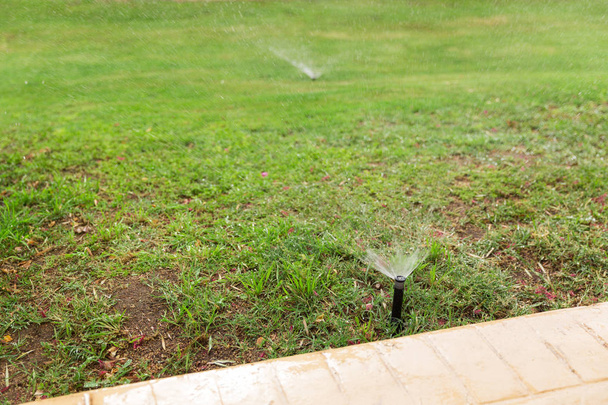 芝生に散水庭のスプリンクラー。自動散水芝生の概念 - 写真・画像