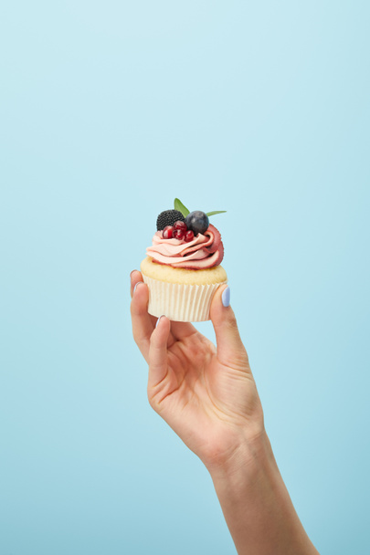 partial view of woman holding cupcake with cream isolated on blue - Фото, изображение