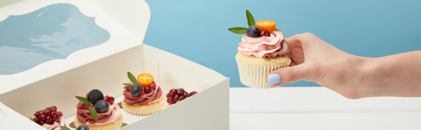 plan panoramique de femme tenant cupcake aux fruits et crème isolé sur bleu
 - Photo, image
