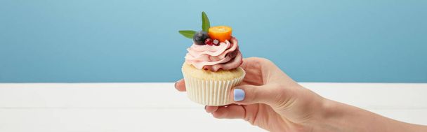 panoramic shot of woman holding cupcake with fruits and cream isolated on blue - 写真・画像