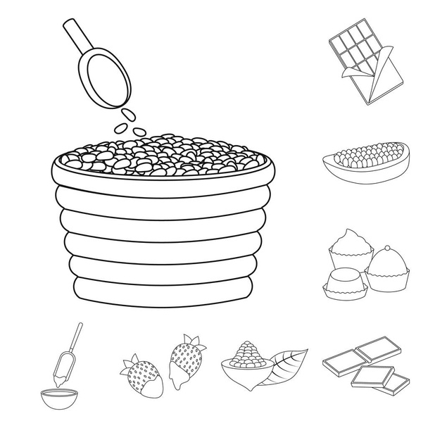 Isolated object of cocoa and beans icon. Set of cocoa and sweetness vector icon for stock. - Vektor, Bild