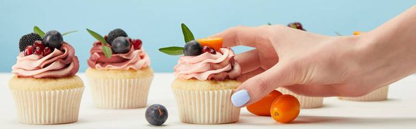 panoramic shot of woman with cupcakes isolated on blue - Photo, Image