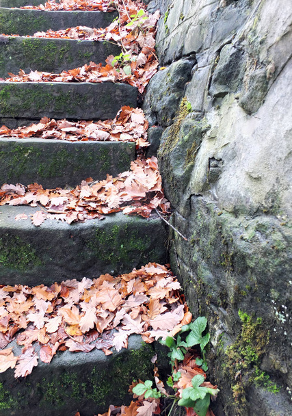 old steep stone steps - Photo, Image