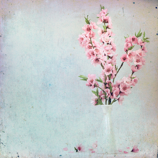 εκλεκτής ποιότητας floral φόντο με ροζ λουλούδια για ένα καφέ αμουδερές - Φωτογραφία, εικόνα