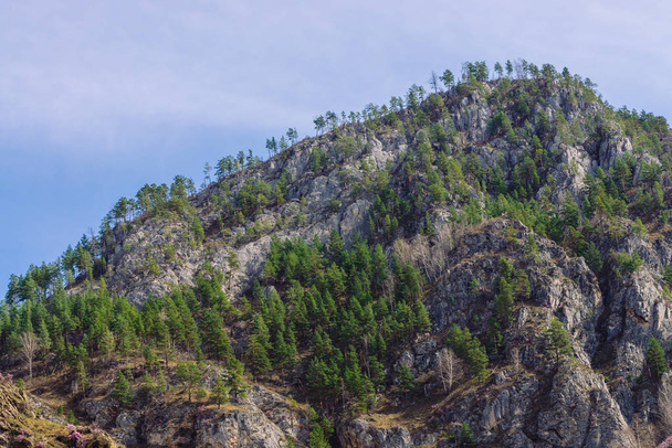 Beautiful rocky green mountain with greenery. Natural textured background with rock and sky. - Fotó, kép