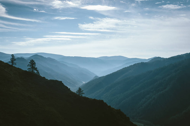 Утренний туман над долиной между силуэтами горных склонов на горизонте в подсветке. Синее свечение в облачном небе. Лес в горах. Атмосферный горный ландшафт величественной природы
. - Фото, изображение