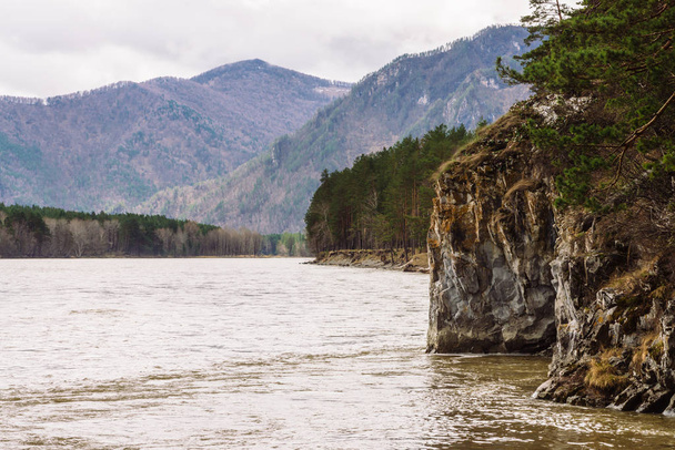Beautiful mountain landscape with steep cliff near mountain river. Rainy weather in Altai. Coniferous trees above cliff. Overcast sky. - Photo, Image