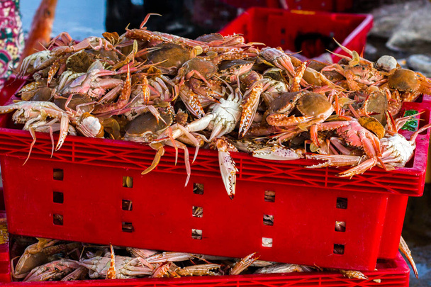 Cangrejos en caja de plástico rojo, mercado de pescado en un muelle
 - Foto, Imagen