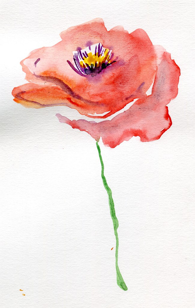 květina, akvarel - Fotografie, Obrázek