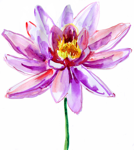 Цветок лотоса. акварель
 - Фото, изображение
