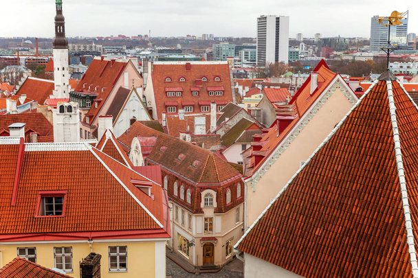 Old town Tallinn top view - Photo, Image