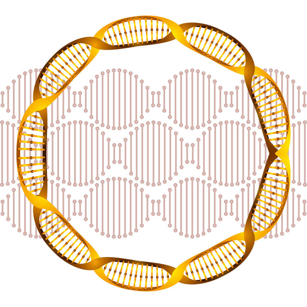 環状 dna 鎖科学アイコン - ベクター画像