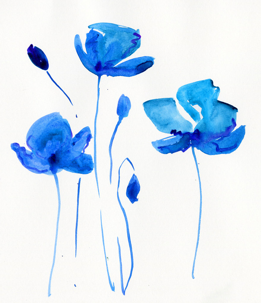 Watercolor Poppy flower - Photo, Image