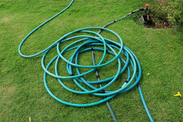 a green hose lying on the grassy ground, A close up image of a g - Photo, Image