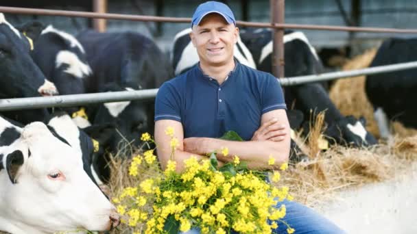 Agricultor trabajando en granja con vacas lecheras
 - Metraje, vídeo