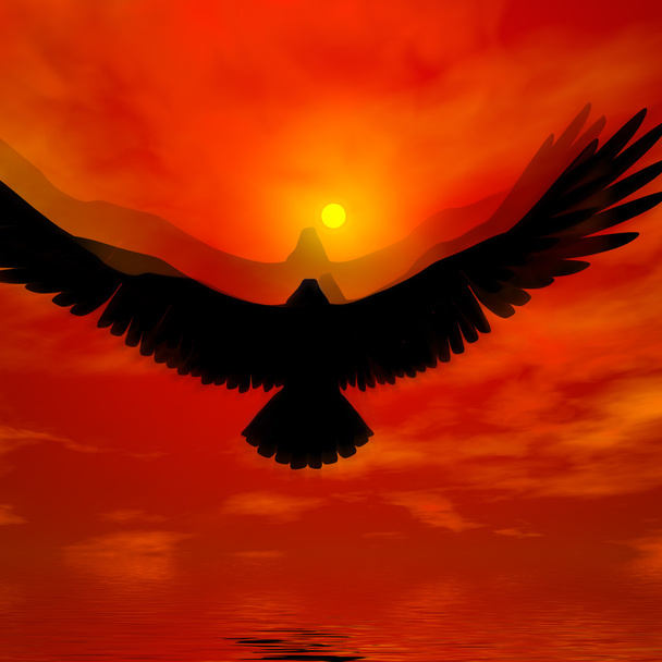 águila - Foto, Imagen