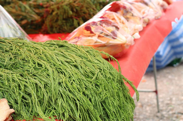 Acacia pennata на рынке
 - Фото, изображение