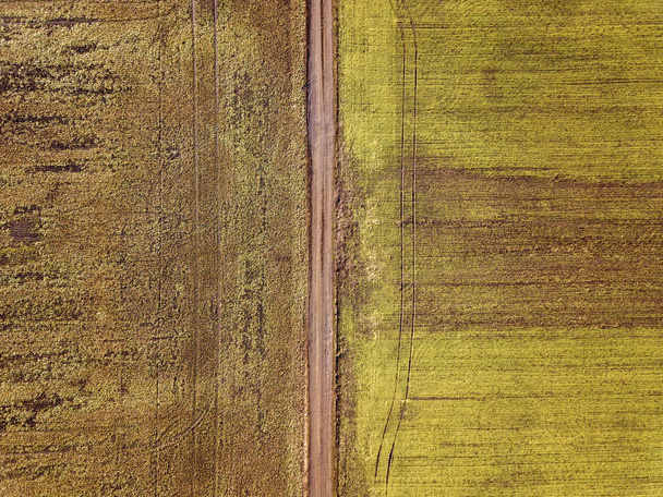 空気からの農業風景。まっすぐ狭い地上道路ベット - 写真・画像
