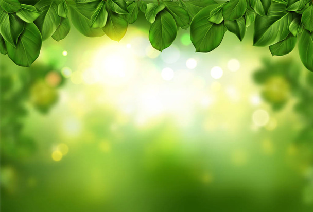 Дерево листья границы на зеленый свежий фон боке
 - Вектор,изображение