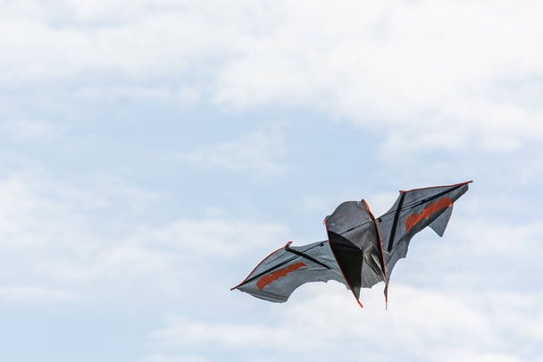 Homemade kite shaped kite in sky. - Фото, зображення
