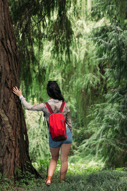 woman with backpack walking in the forest - Foto, Imagen