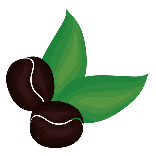 kávová zrna a listová rostlina - Vektor, obrázek