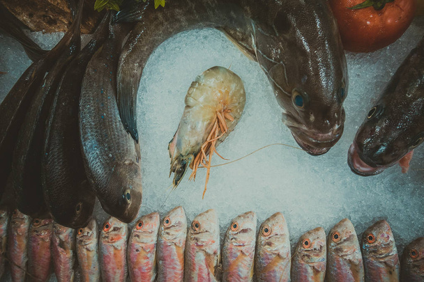 Ryby a mořské plody na ledě - Fotografie, Obrázek