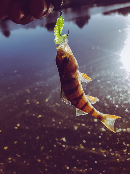 Kuonokalastus joella
 - Valokuva, kuva