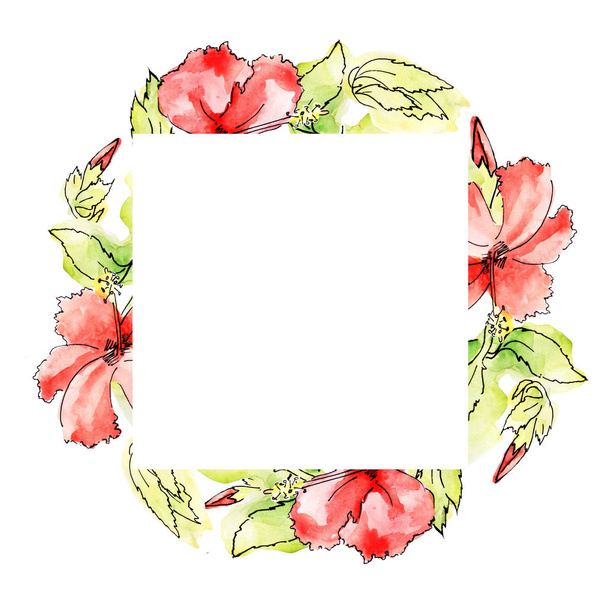 watercolor frame - square; green foliage, buds and red hibiscus  - Foto, afbeelding