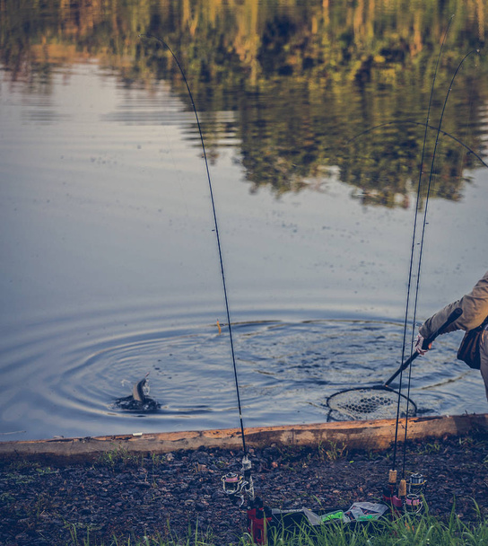 hobby- trout fishing background - Фото, изображение