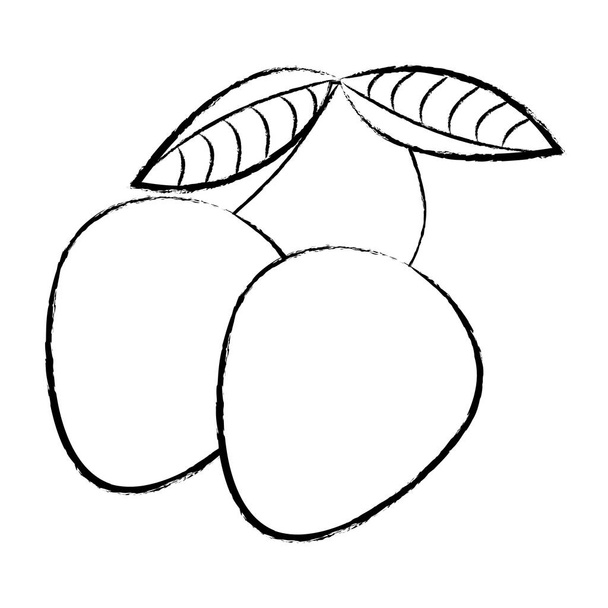 Mangos fruits isolated sketch - Vector, Image