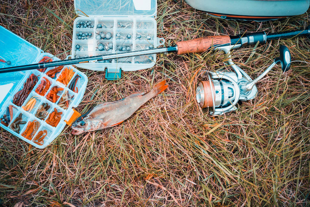 concepto de pesca: aparejos, caña de pescar, peces en la hierba
 - Foto, imagen