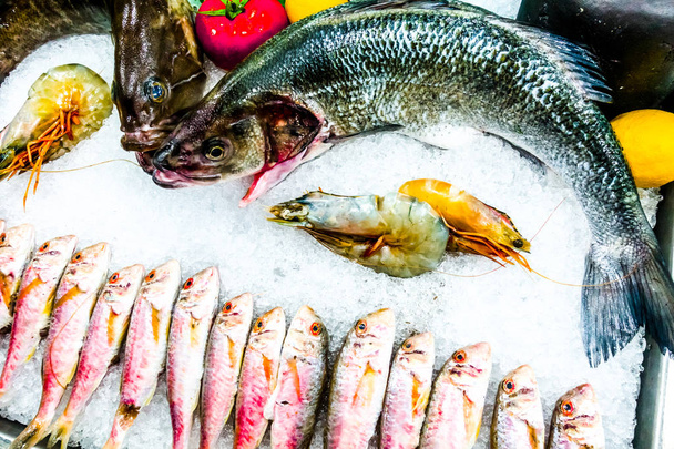Peixe no gelo em um restaurante de peixe
 - Foto, Imagem