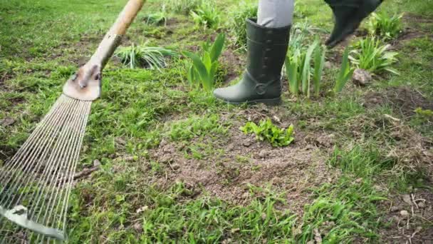 Boer schoonmaken gazon van droog gras met een rake in de lente tuin. Landbouw-en landbouw concept - Video