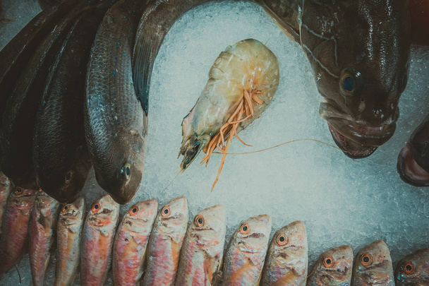 Fish and seafood on ice - Foto, Bild