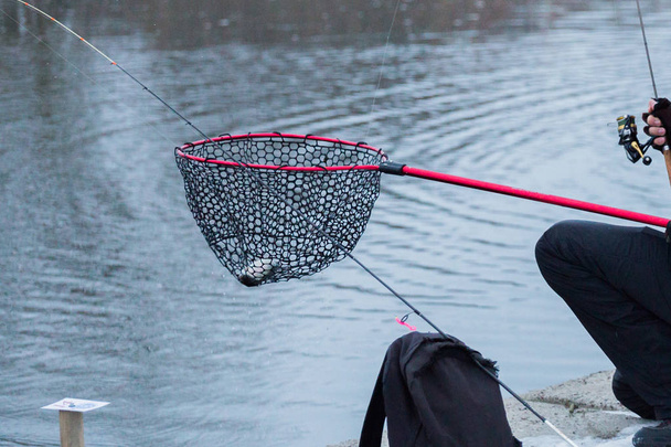 Łowienie pstrągów na jeziorze. Rekreacja połowowa - Zdjęcie, obraz