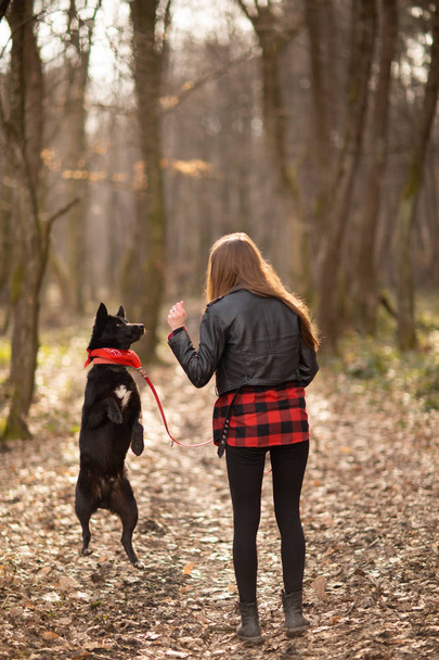 Photo de la belle fille avec son chien noir dans le bois. Vue arrière
 - Photo, image
