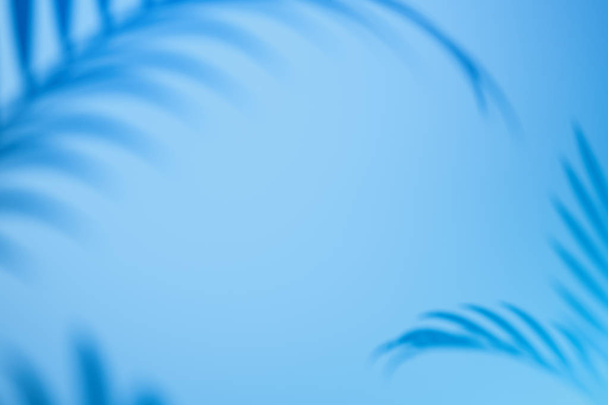 Tropical plant shadow on light blue background with empty space. 3D rendering. - Foto, imagen