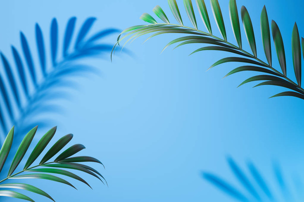 Tropical plant shadow on light blue background with empty space. 3D rendering. - Photo, image
